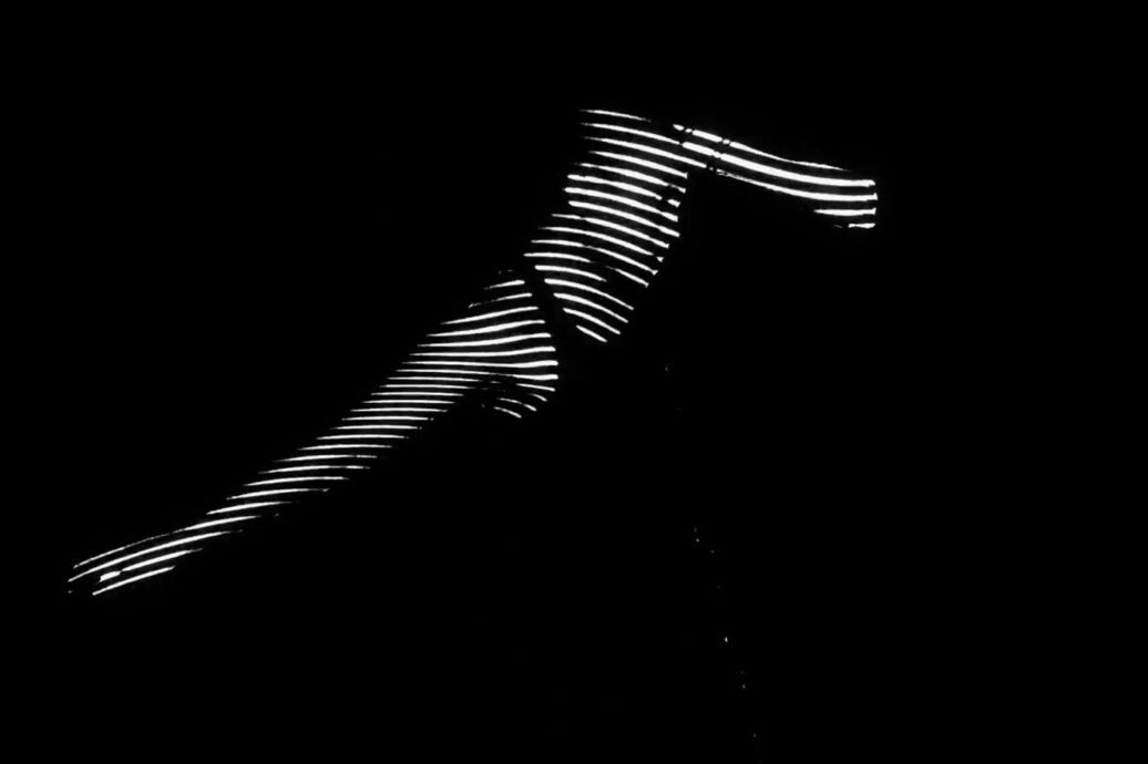 2024 Stanford University